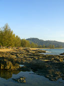 หาดนางทอง-หาดบางเนียง อ.ตะกั่วป่า จ.พังงา